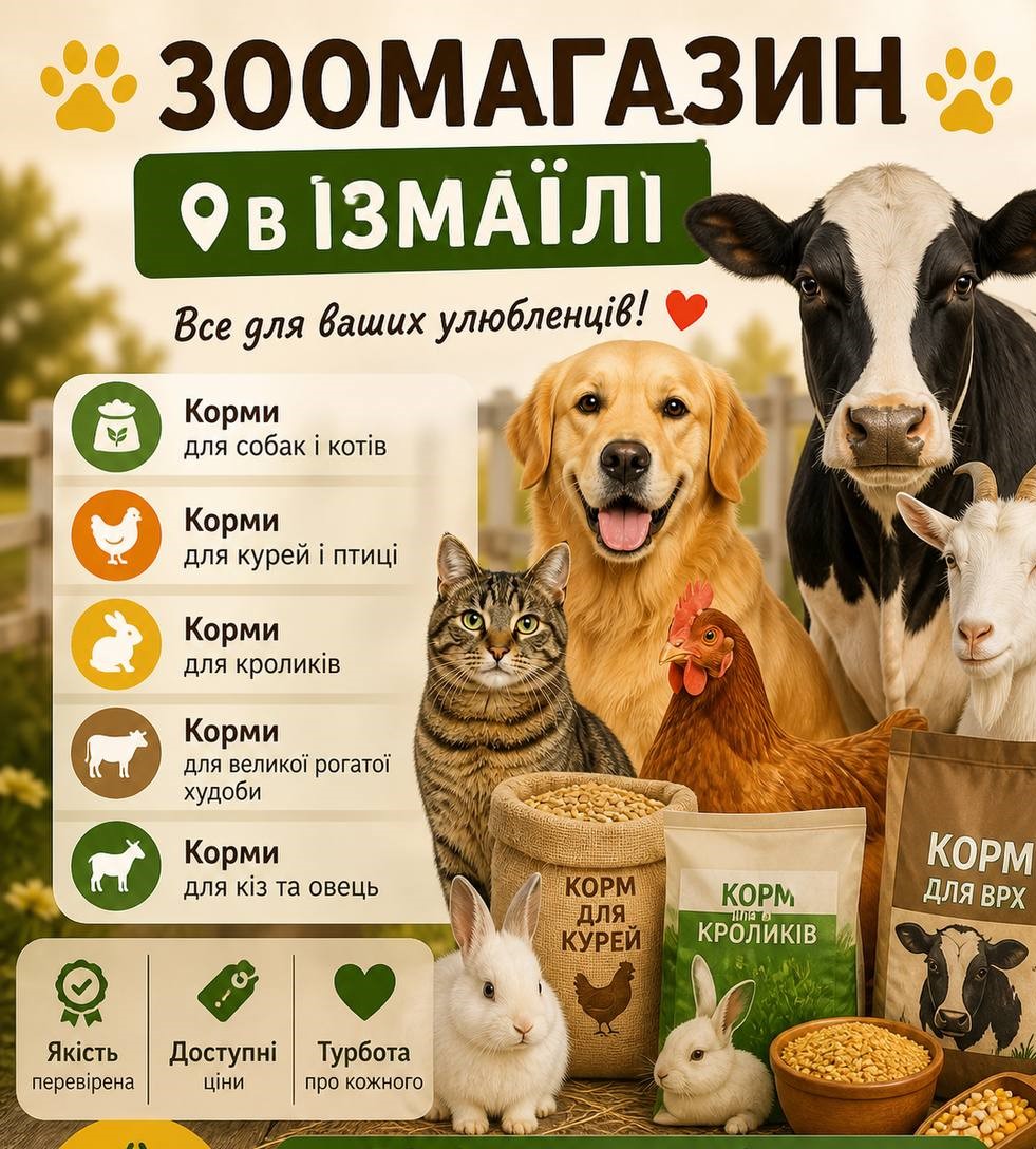 Зоомагазин