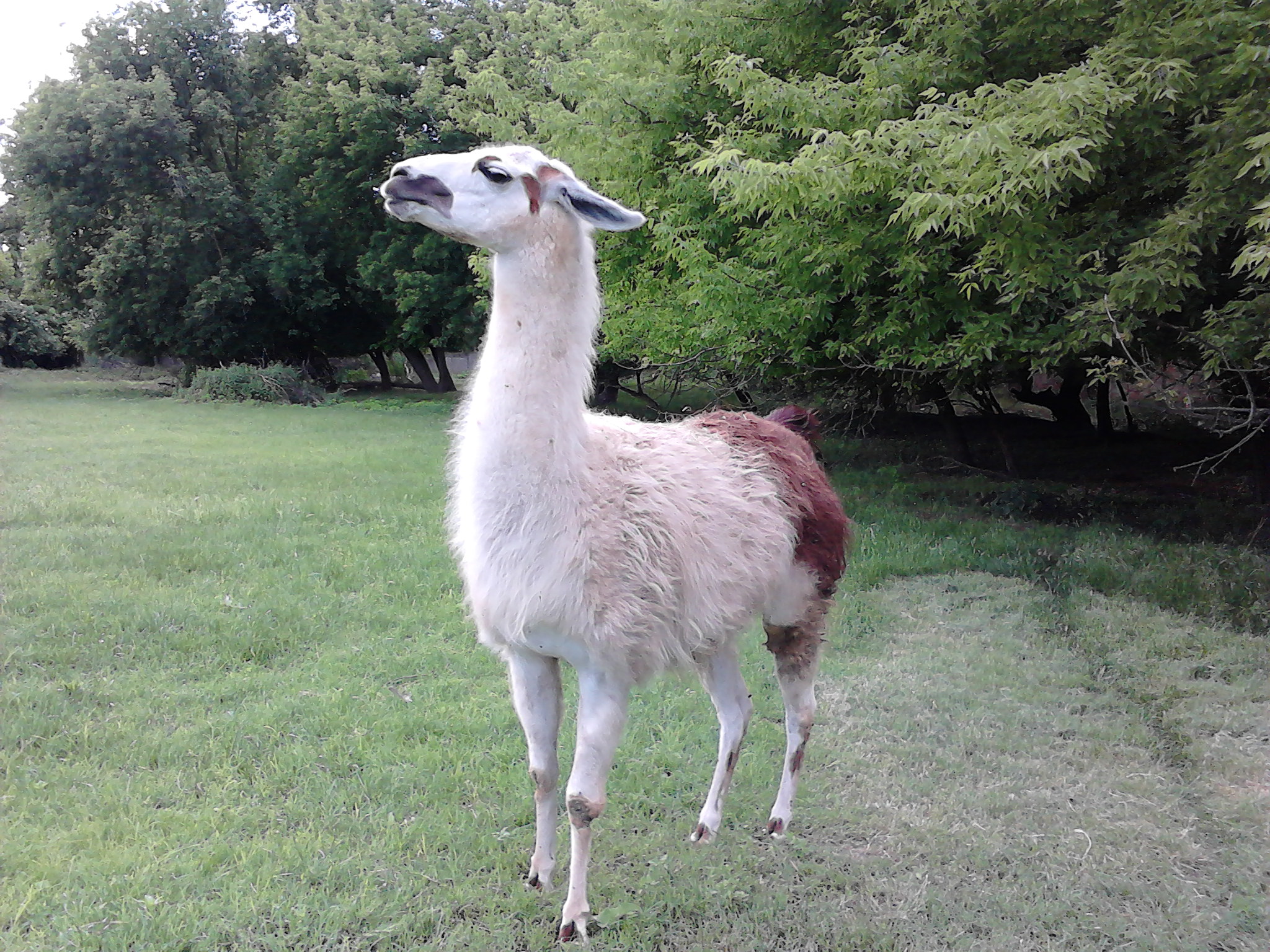 Станція юних натуралістів